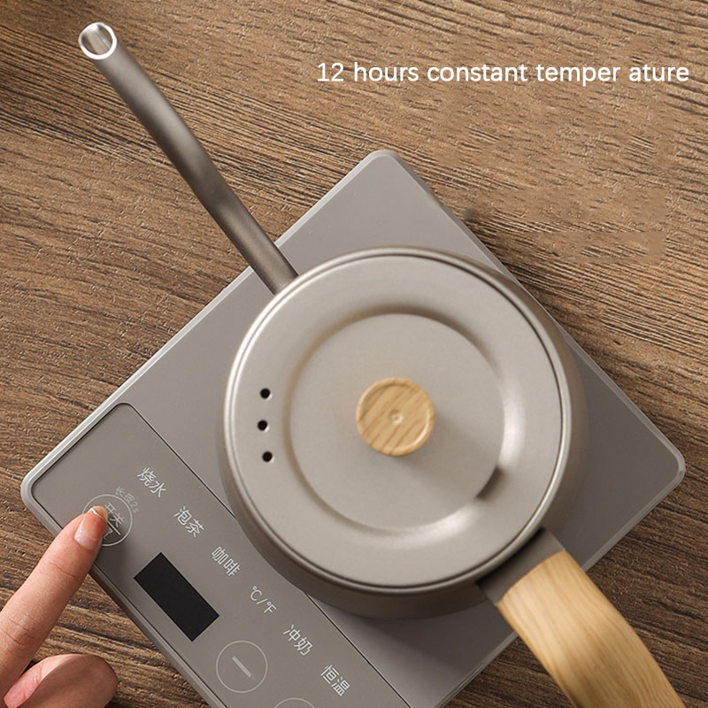 Electric Kettle Gooseneck - Tetera de 110v y 220v con