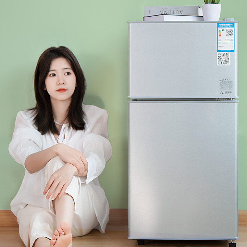 Kitchen Appliances Rental - Mini Refrigerador Portátil de Doble Puerta