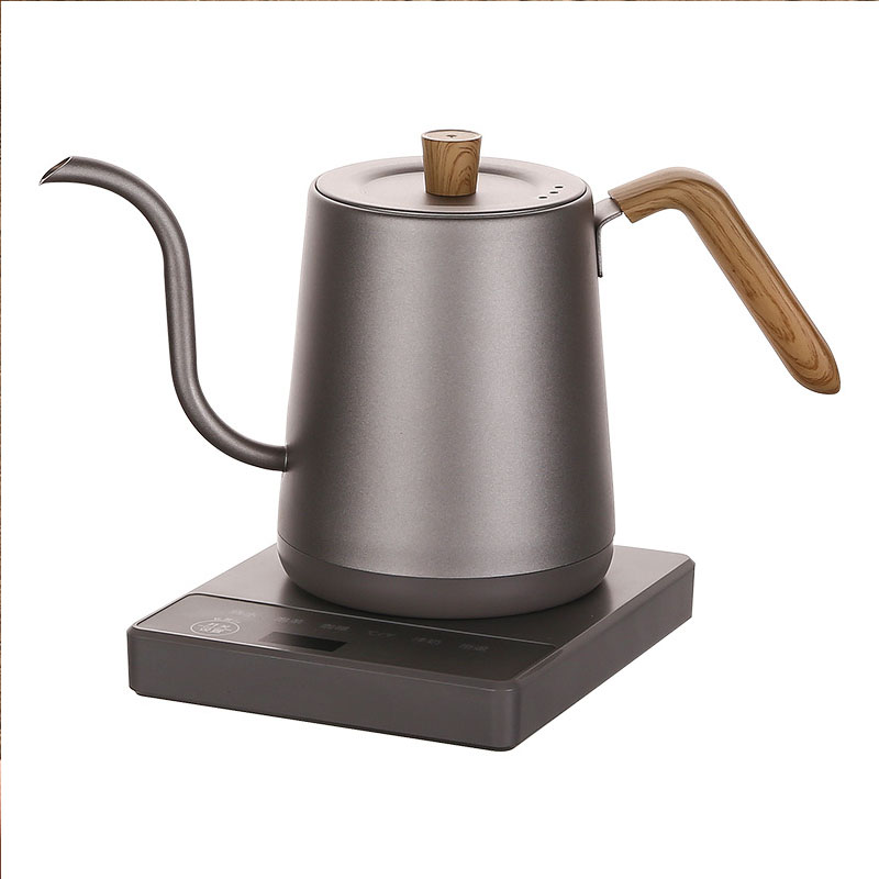 Tetera de 110v y 220v con cuel - Electric Kettle Gooseneck reseña y precio