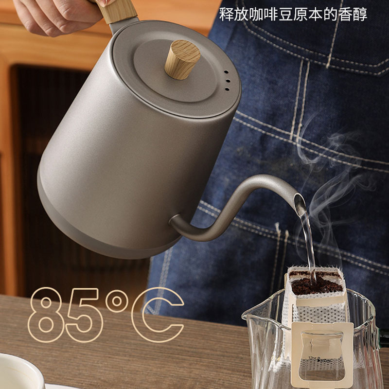 Tetera de 110v y 220v con cuel - Electric Kettle Gooseneck reseña y precio