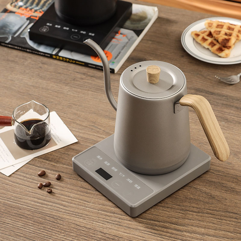 Tetera de 110v y 220v con cuel - Electric Kettle Gooseneck reseña y precio