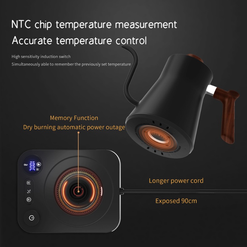 Hervidor eléctrico inteligente - Electric Kettle Gooseneck reseña y precio
