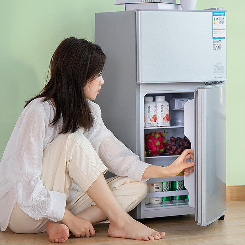 Mini Refrigerador Portátil de  - Kitchen Appliances Rental reseña y precio