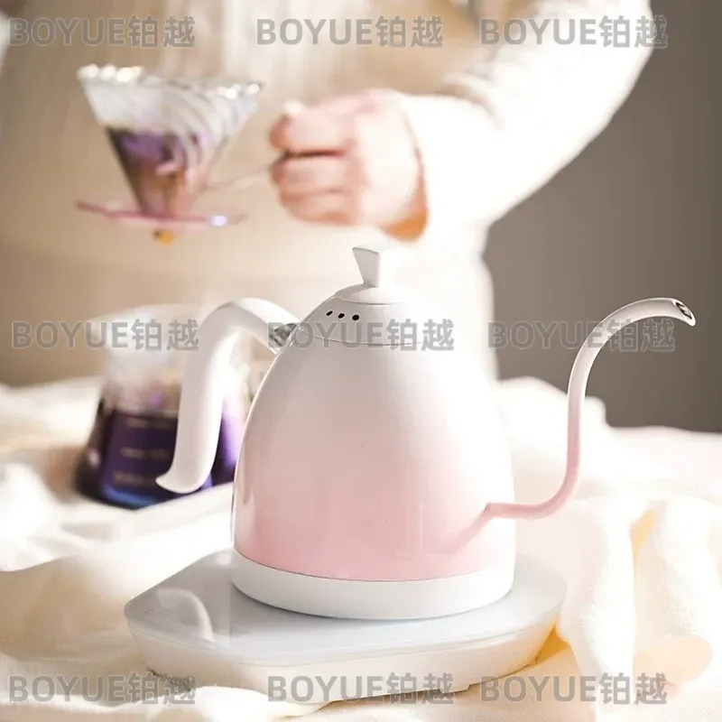 Hervidor de Acero Inoxidable c - Electric Kettle Gooseneck reseña y precio