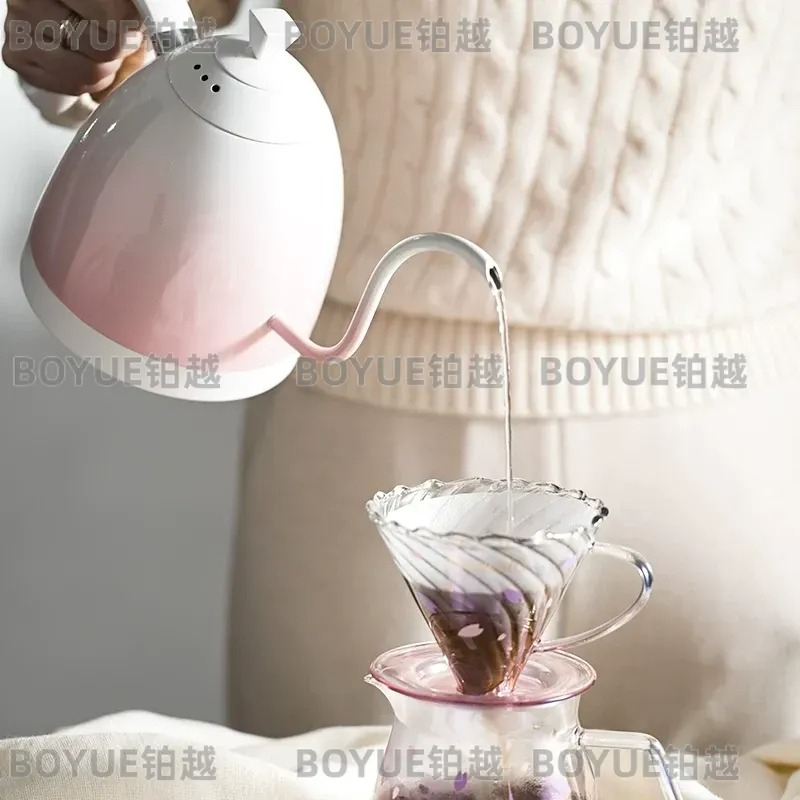 Hervidor de Acero Inoxidable c - Electric Kettle Gooseneck reseña y precio